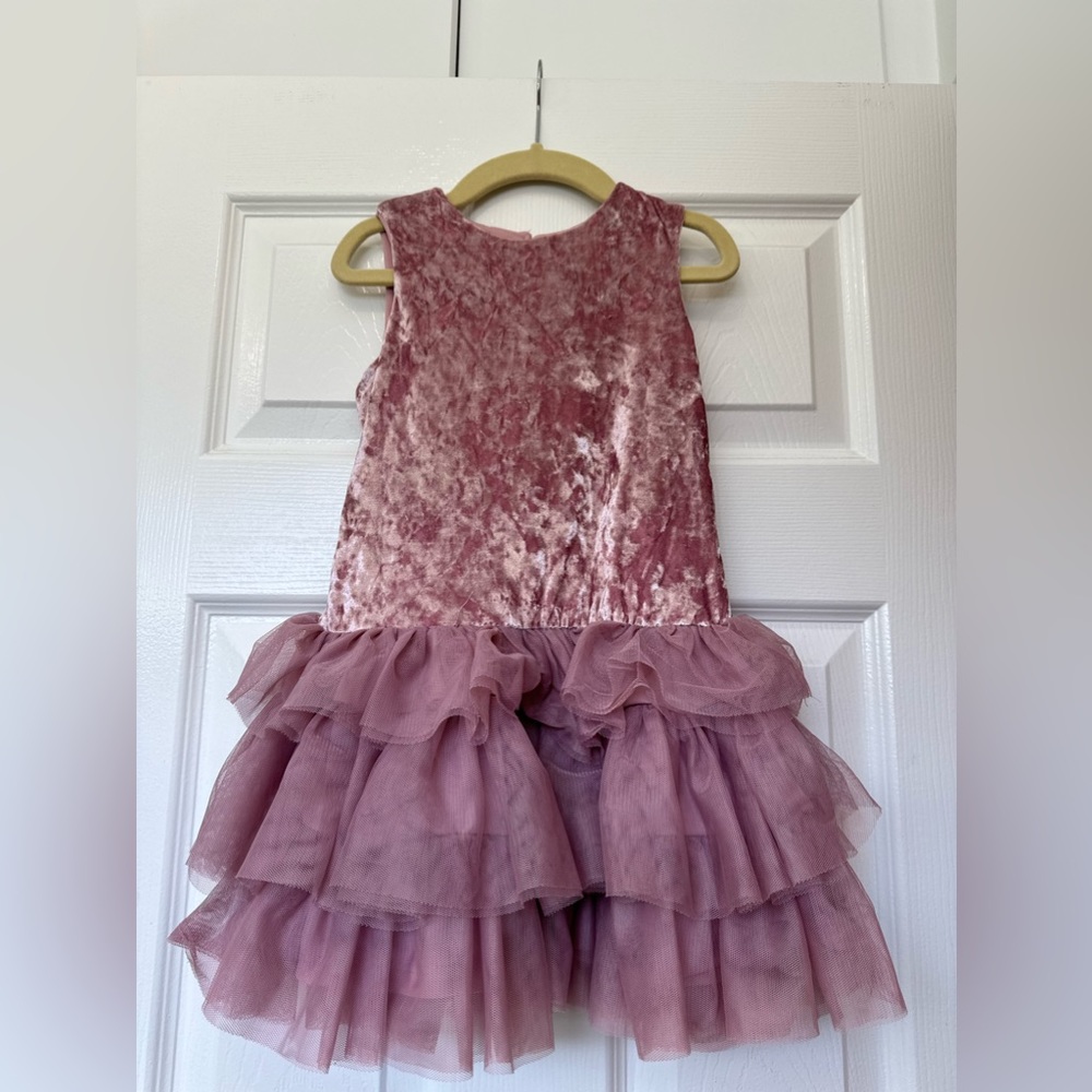 BCBG Girls Velvet Dress with Tulle skirt